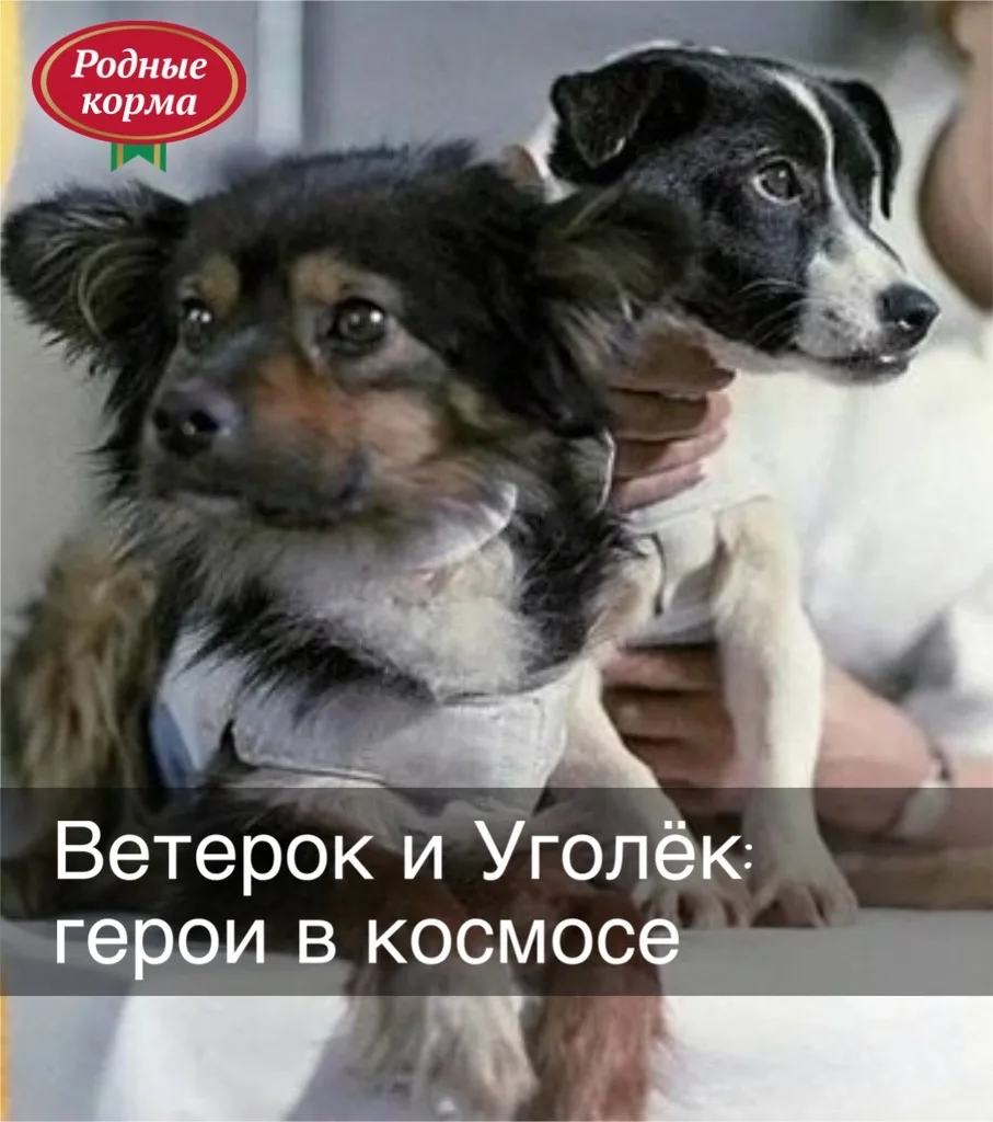 Уже 12 апреля будет День космонавтики! 🚀
