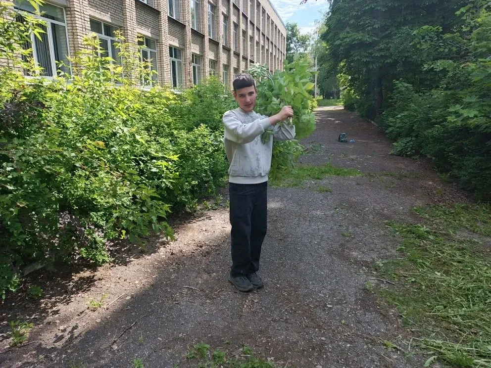 Началась пятая трудовая четверть для  школьников всей страны. На практике ребята закреп...