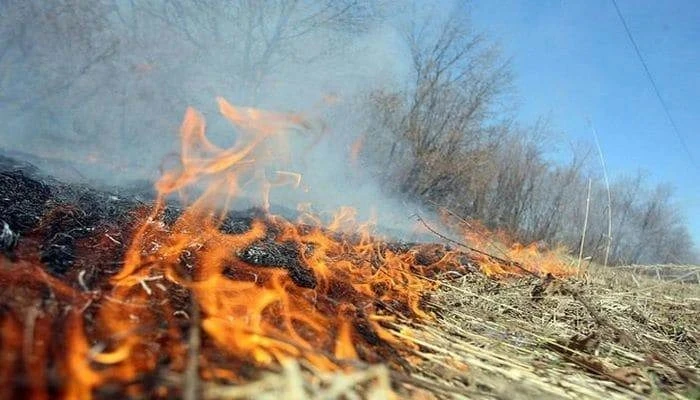 🔥Согласно статистике, значительная часть лесных пожаров возникает по вине человека. Бе...