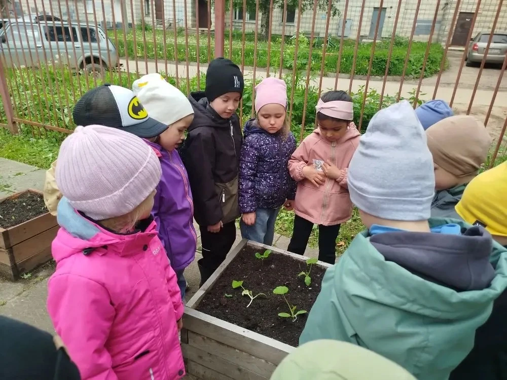 ☀️ Вот и прошла первая неделя лета — «Здравствуй, лето красное!» — и мы уже вовсю насла...
