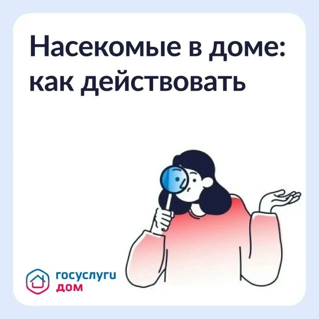 Борьба с насекомыми в многоквартирном доме