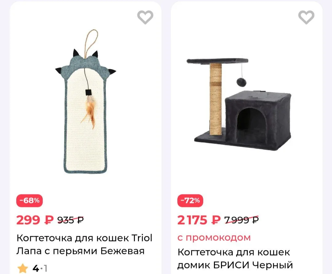 ЗооЗавр 🐈
