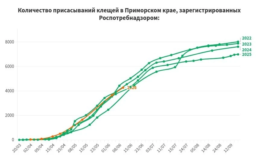 Уже 4200 приморцев столкнулись с проблемой укусов клещей с начала сезона