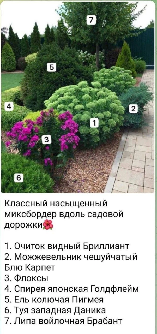 Схема миксбордера