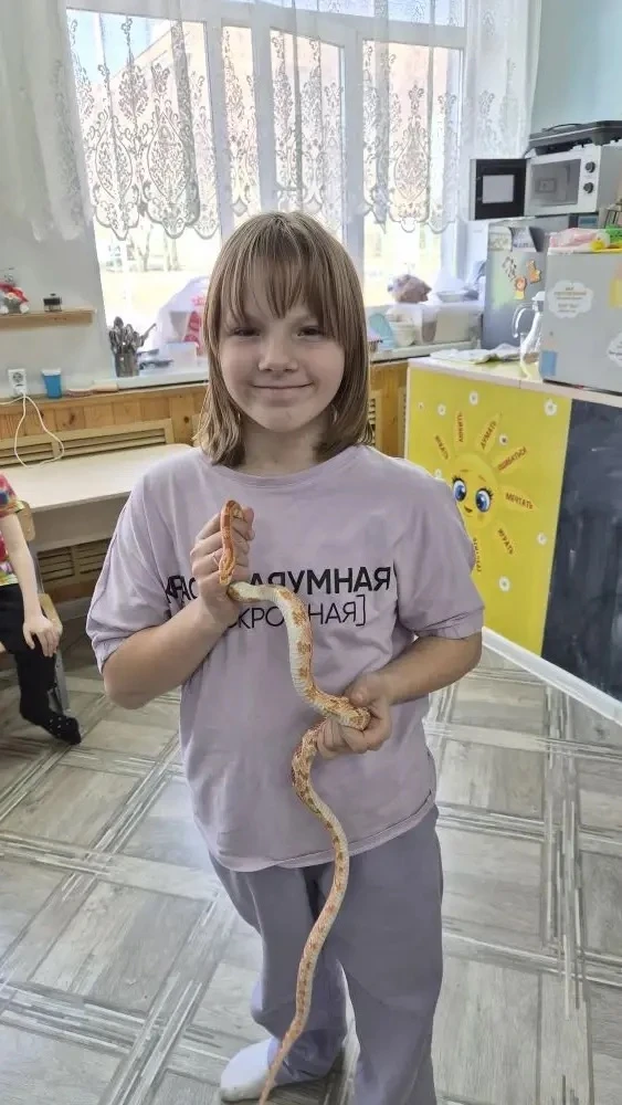 Сегодня к нашим ребятам приезжало зоо-шоу 🐍