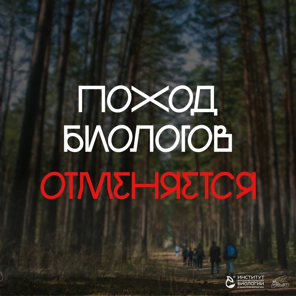 К сожалению, мы вынуждены отменить поход 😞