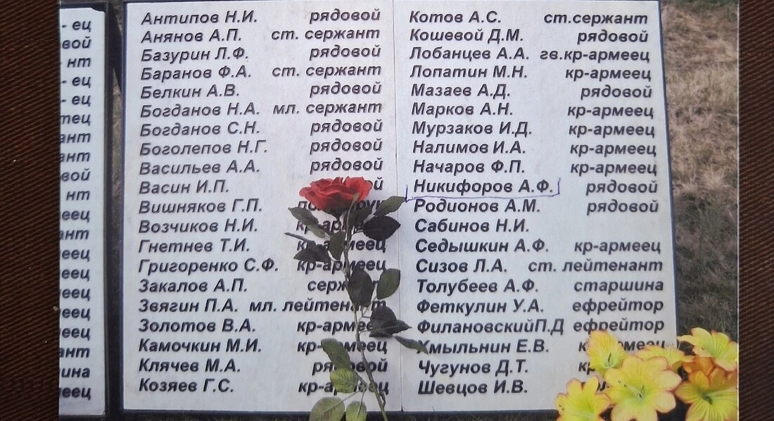 Вологодские поисковики нашли останки погибшего красноармейца из Татарстана  Согласно архивному докум