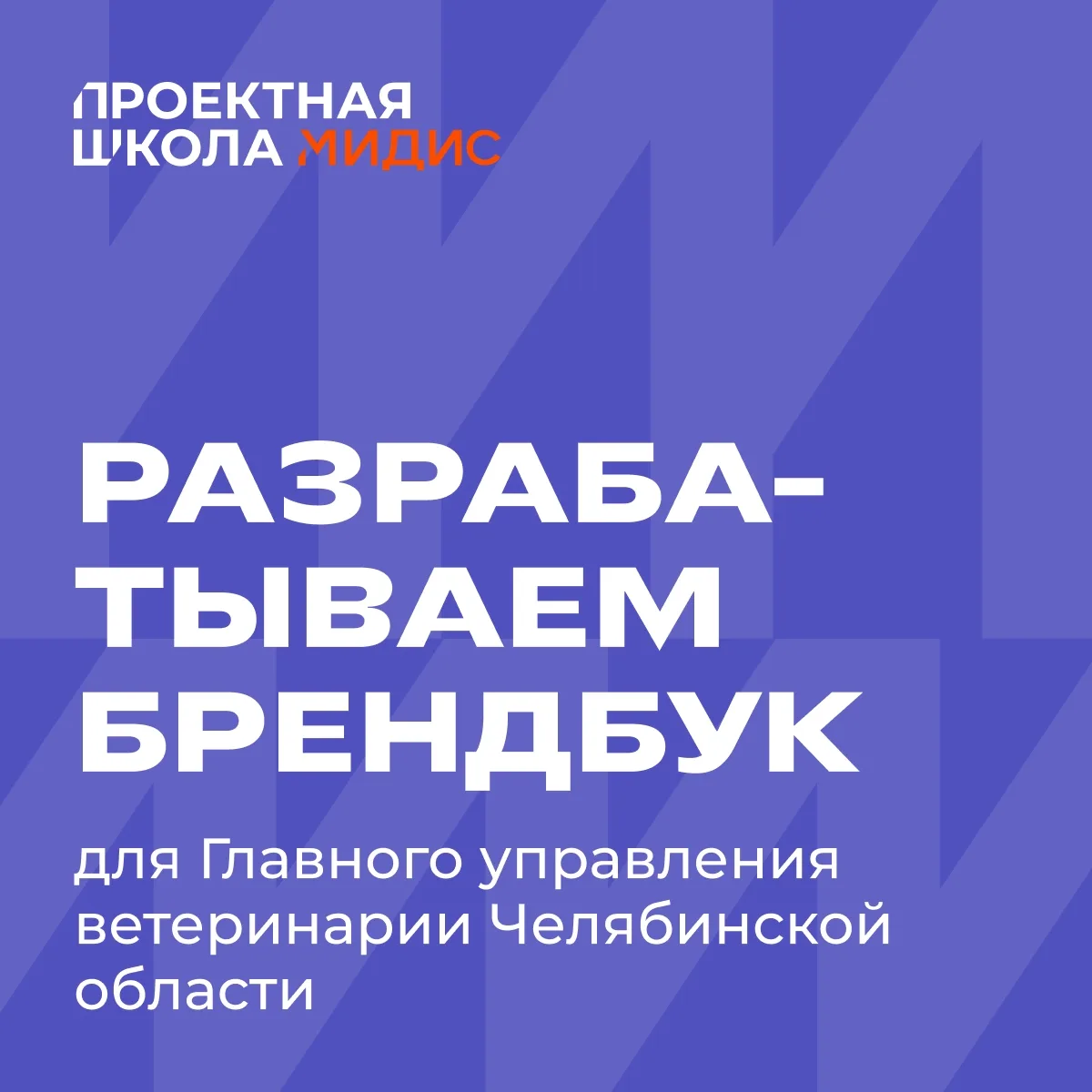 Студенты МИДиС в Челябинске не рисуют «учебные макеты в стол», они отвечают за визуальн...