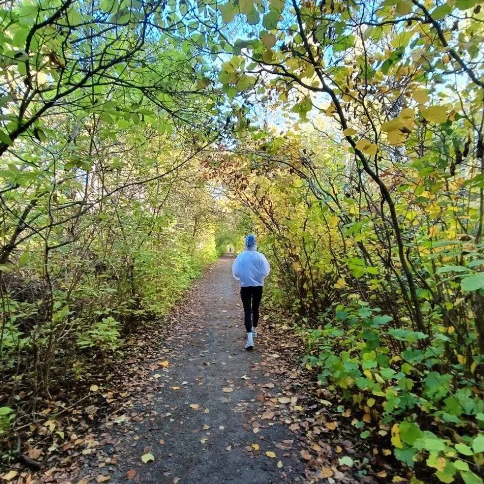 «Осенняя чистка печени» 🌿