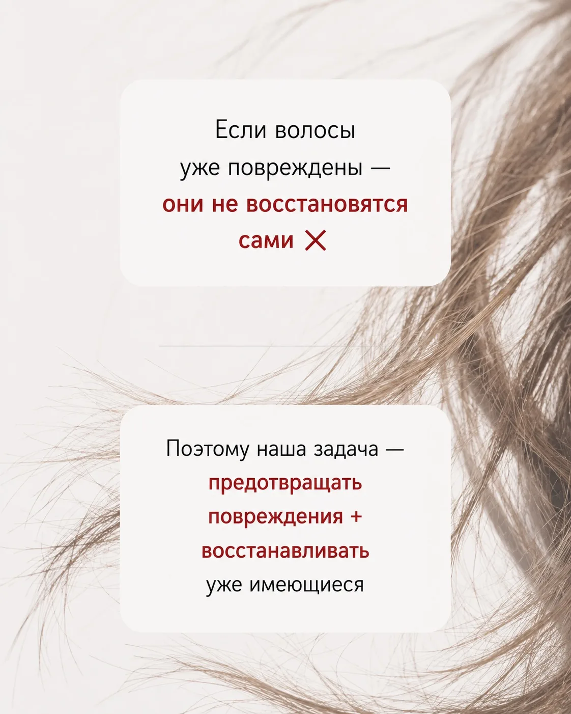 СЕГОДНЯ В 16:00 по мск СКИДКА НА ПРОДУКЦИЮ DiCare ЗАКОНЧИТСЯ ❤️

После окончания акции стоимость тов