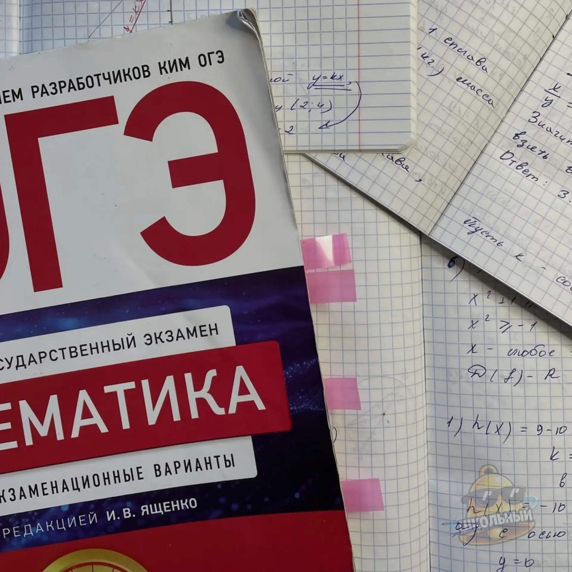 В Нижнем Новгороде школьницу оштрафовали на 3000 рублей за попытку использовать шпаргал...