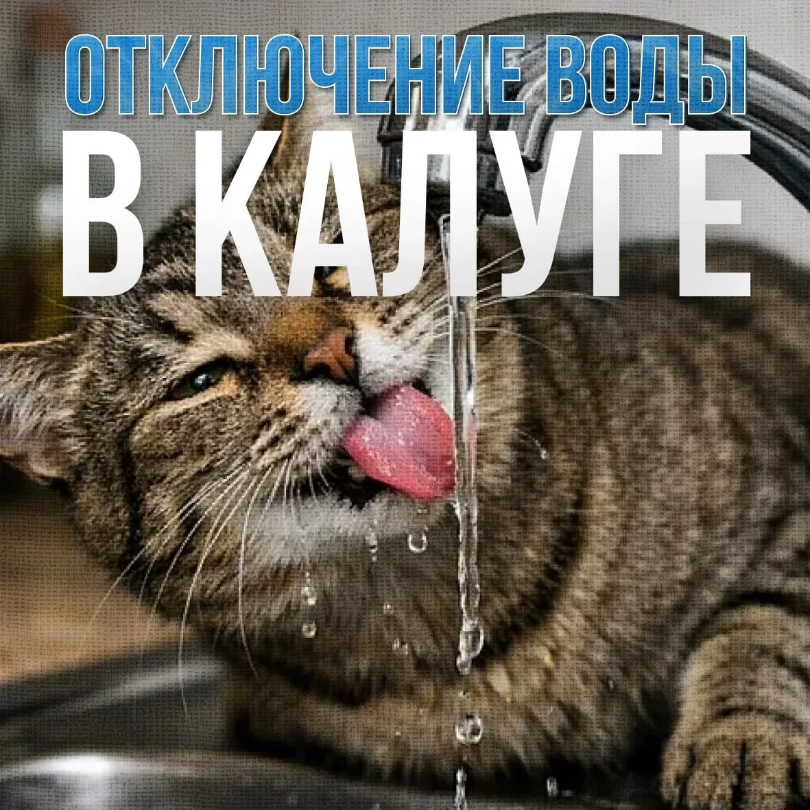 📅 График отключения горячей воды на ближайшую неделю