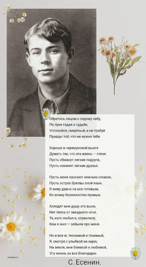 Давайте залайкаем пост про великого русского поэта. С днём рождения, Сергей Александрович.