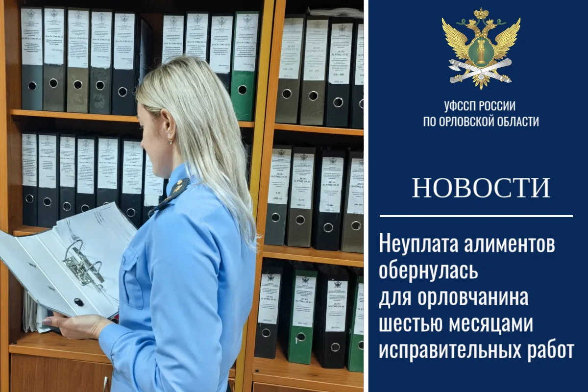 Неуплата алиментов обернулась для орловчанина шестью месяцами исправительных работ