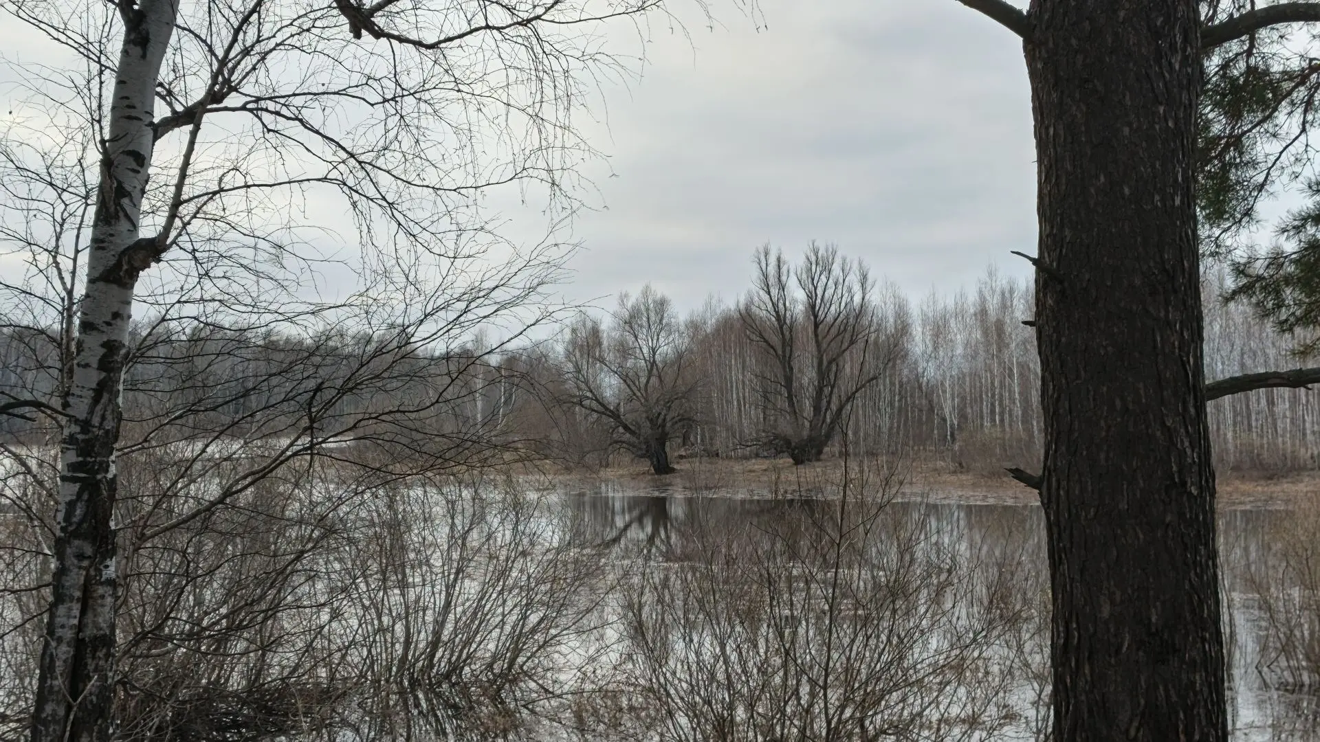 Размышлизмы 19.04.2026,.