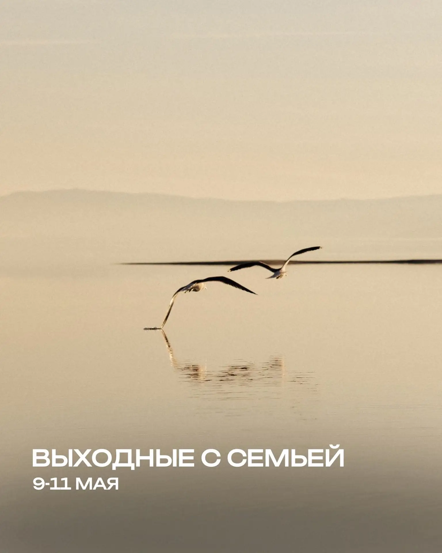 #АФИША_ПРООТДЫХ_ТЛТ 
Куда сходить на майских праздниках? 🕊🌿 
 
🌿Майские праздники на ферме Пара А