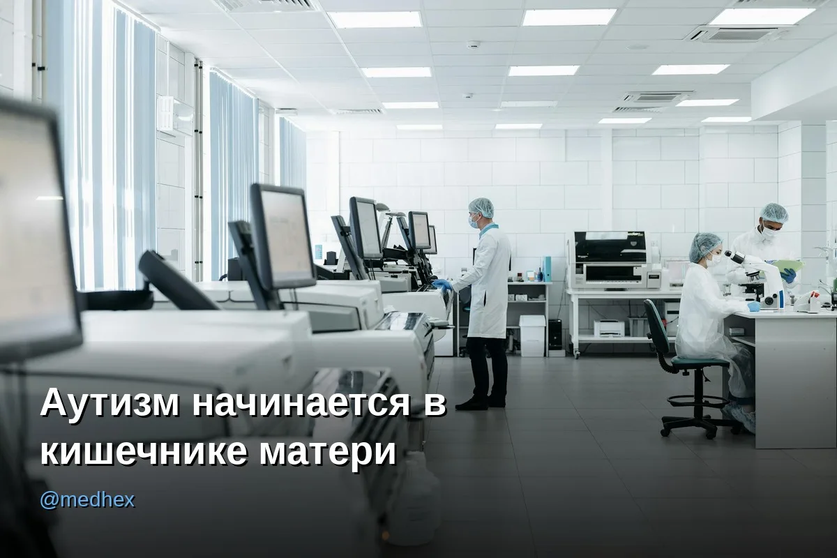 🧬 Кишечные бактерии матери влияют на развитие мозга и риск аутизма у ребёнка

——————————

Здоровье 