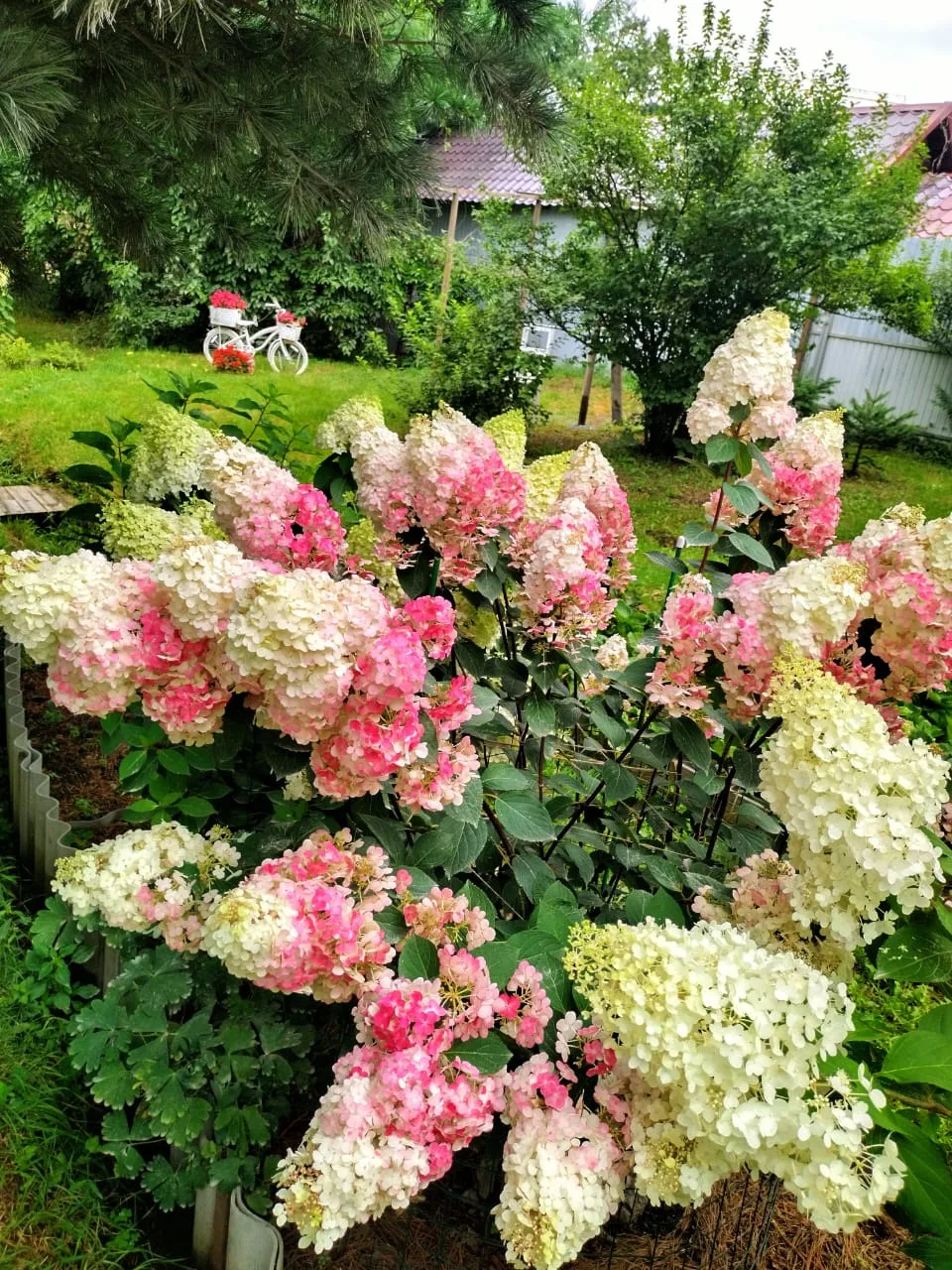 ☀️ Доброе утро, Большой Камень!