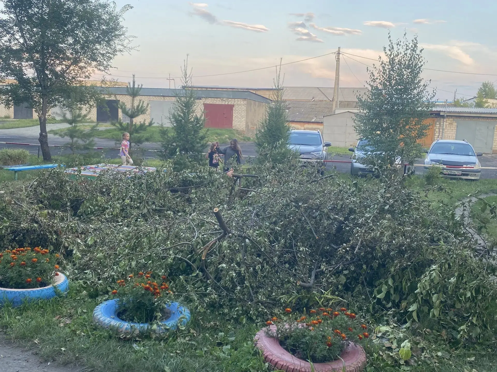 В Камне-на-Оби ЖЭУ лишило ребятишек детской площадки, завалив ее спиленными деревьями