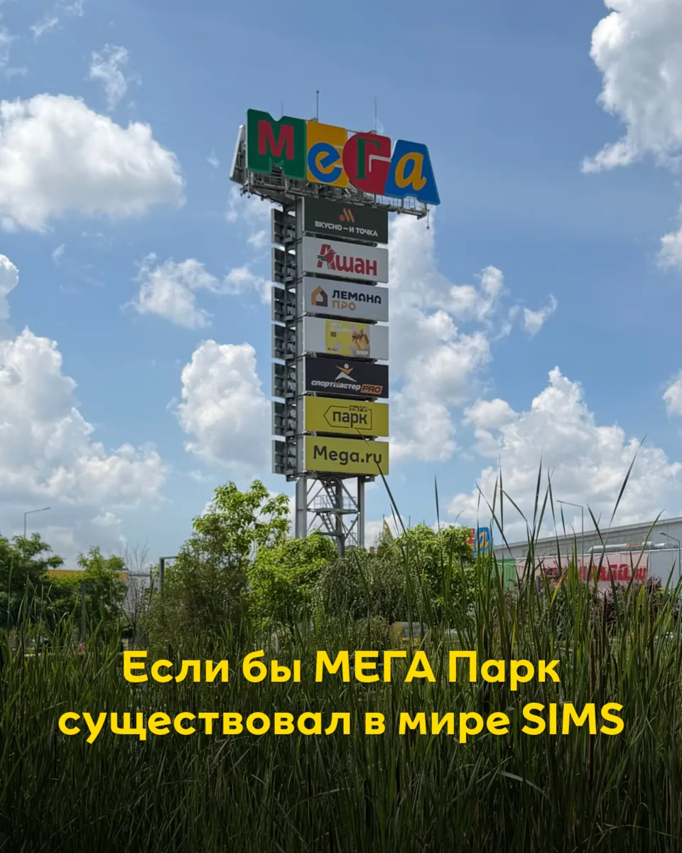 🔹Покормить рыбок и черепашек