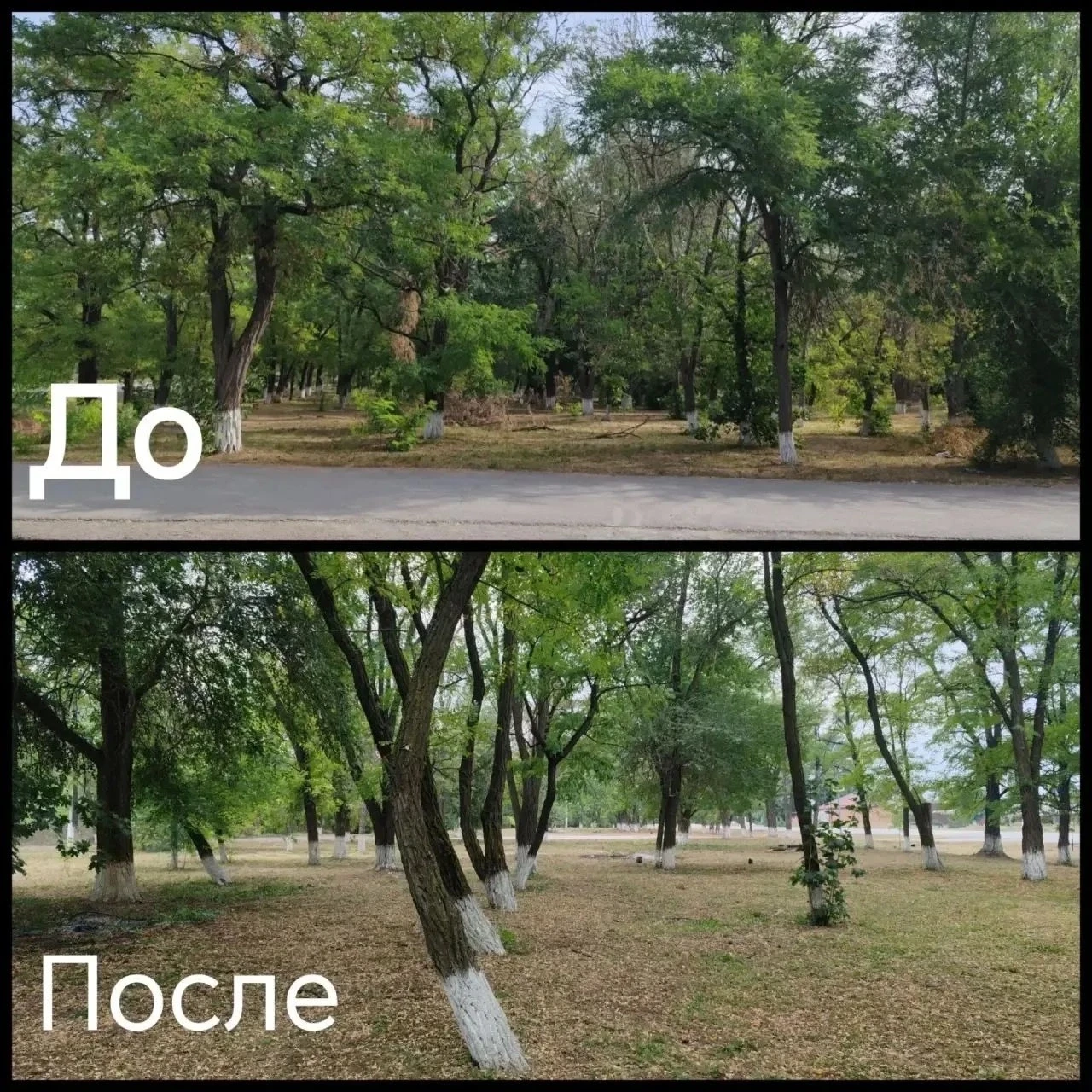 Доброе дело дня: субботник в парке Аграфеновки!