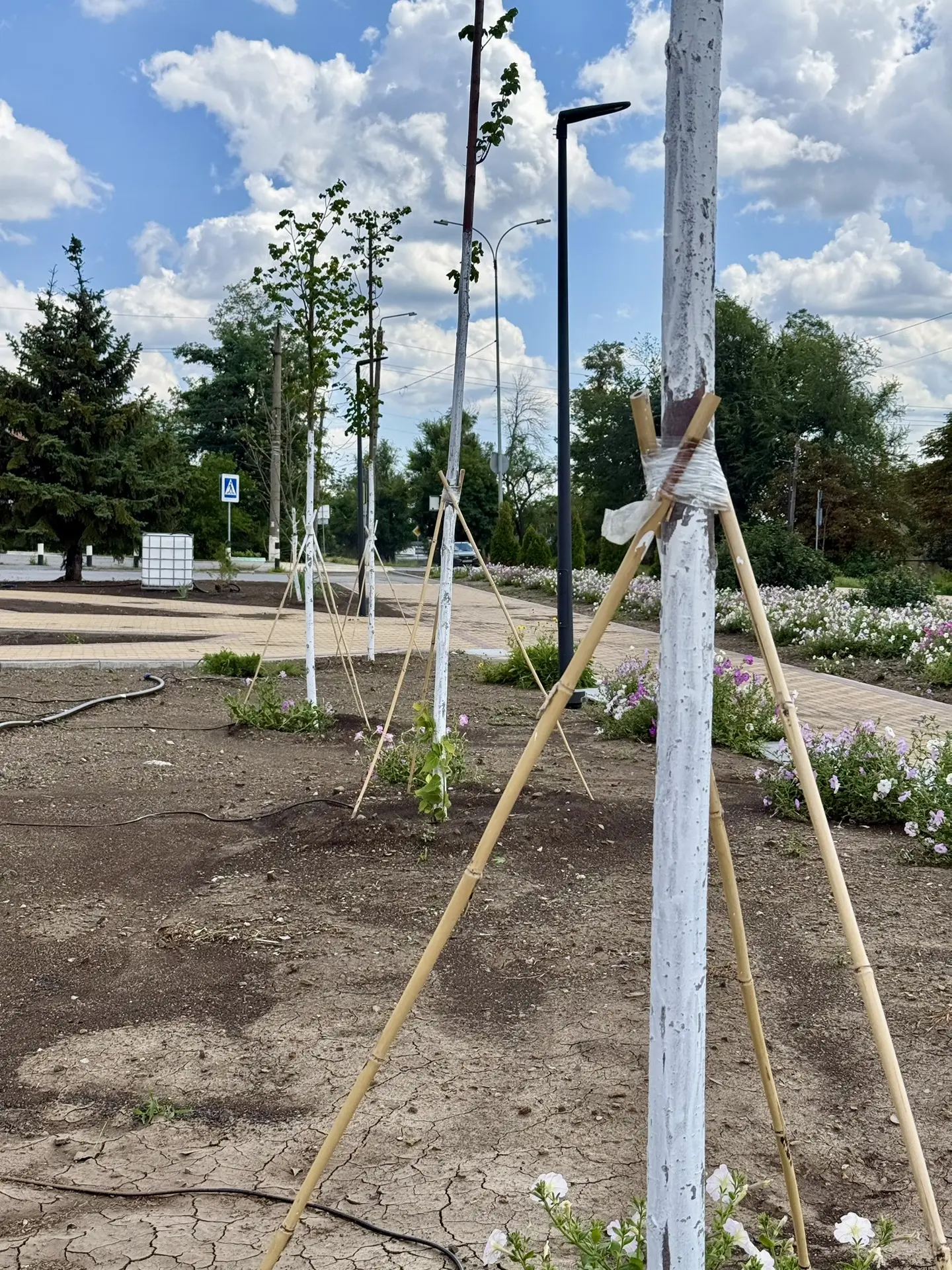 Работники, ухаживающие за деревьями у районного Дворца культуры, заметили, что кто-то с...