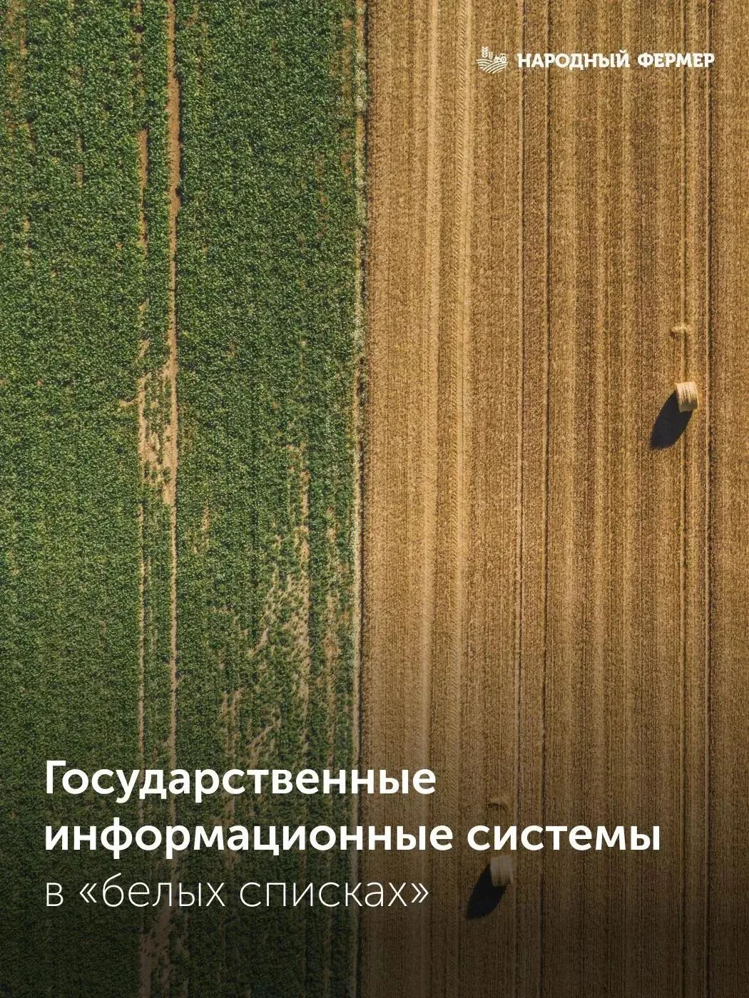 ⚡️ ФГИС в белых списках