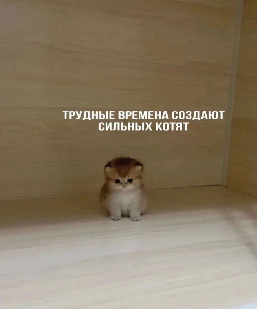 Ну что, как там ваша учеба поживает? 👓