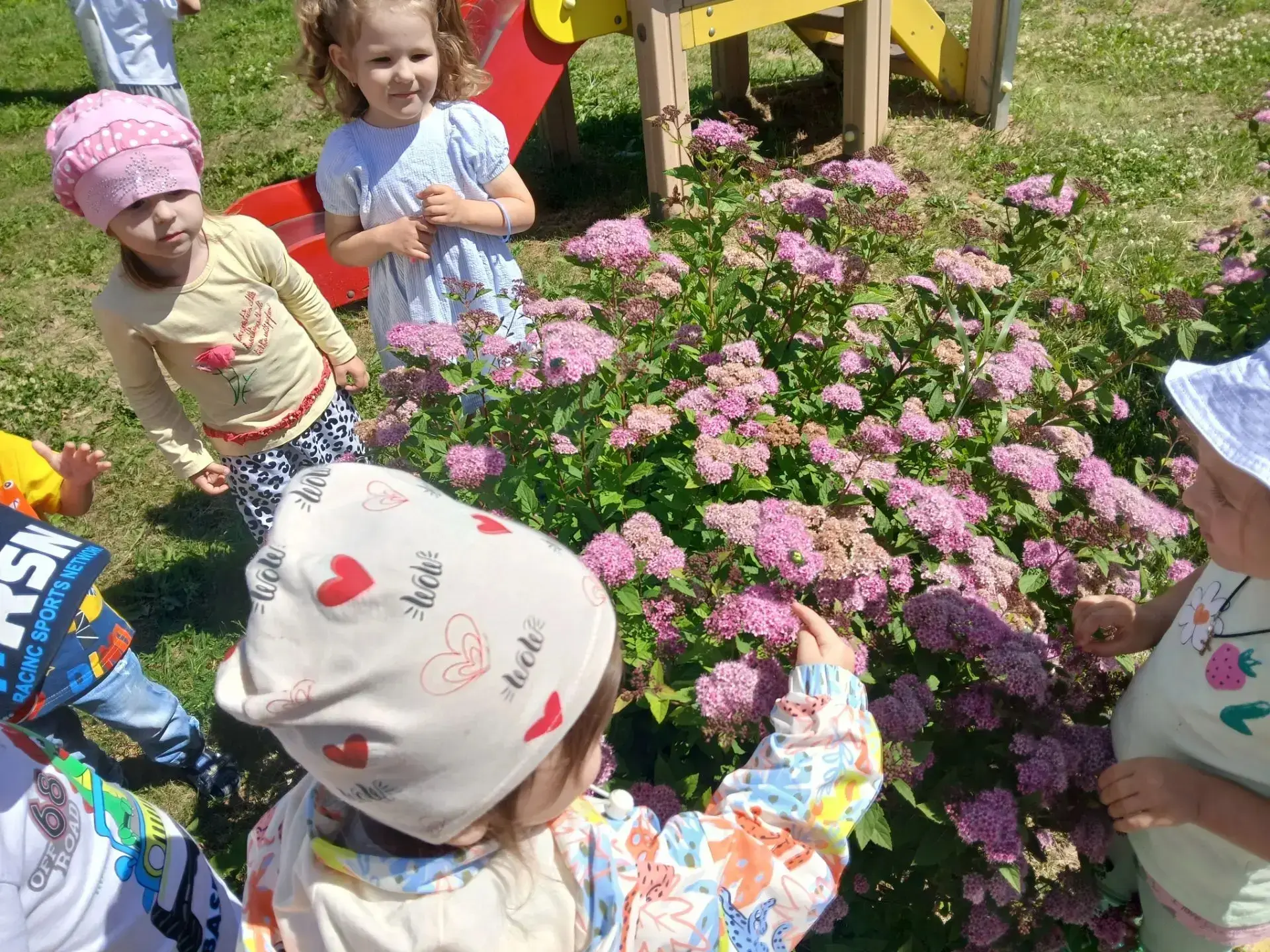 ☀️На прогулке с нашими маленькими исследователями из группы «Почемучки» мы провели увлекательное наб
