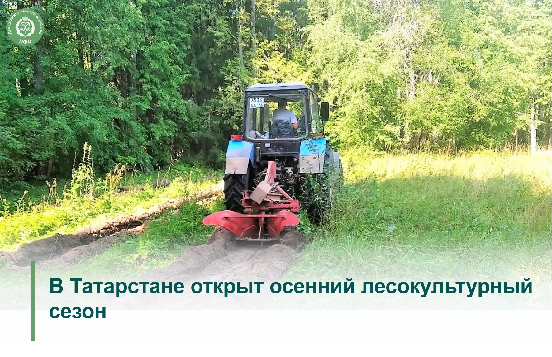 🟢 В Республике Татарстан в рамках осеннего лесокультурного сезона 2026 года планируетс...