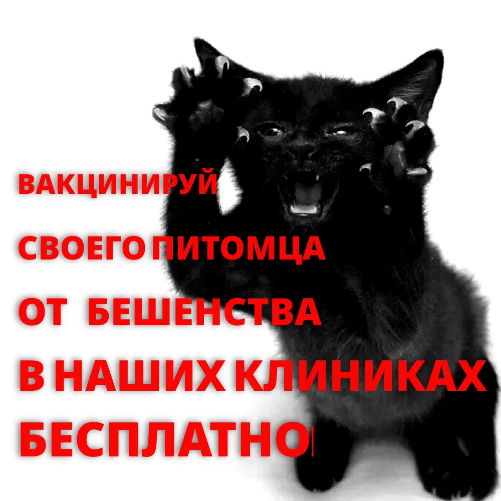 📢 ВНИМАНИЕ, ВЛАДЕЛЬЦЫ ДОМАШНИХ ЖИВОТНЫХ! ЗАЩИТИТЕ СВОИХ ЛЮБИМЦЕВ ОТ ОПАСНОСТИ! 📢

Дорогие друзья, 