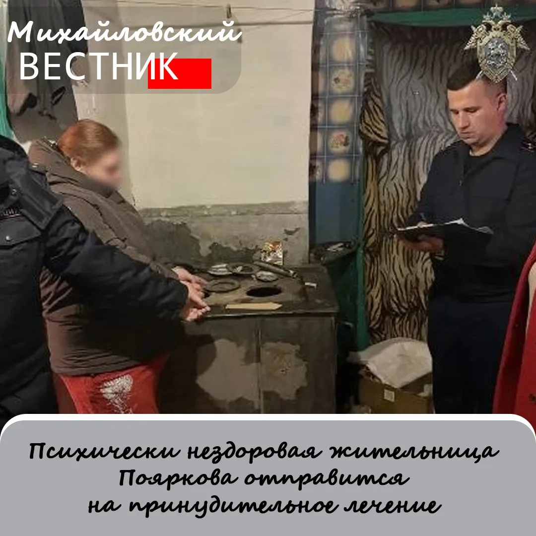 В Михайловском округе завершено расследование уголовного дела в отношении 31-летней жен...