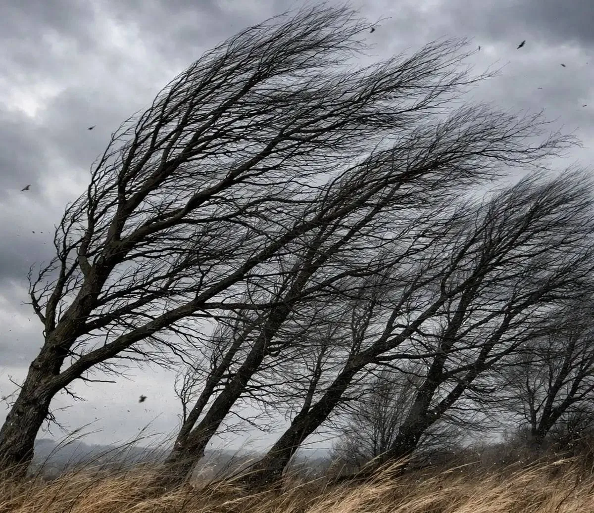 🌧️ На ДНР надвигаются сильный дождь и ветер