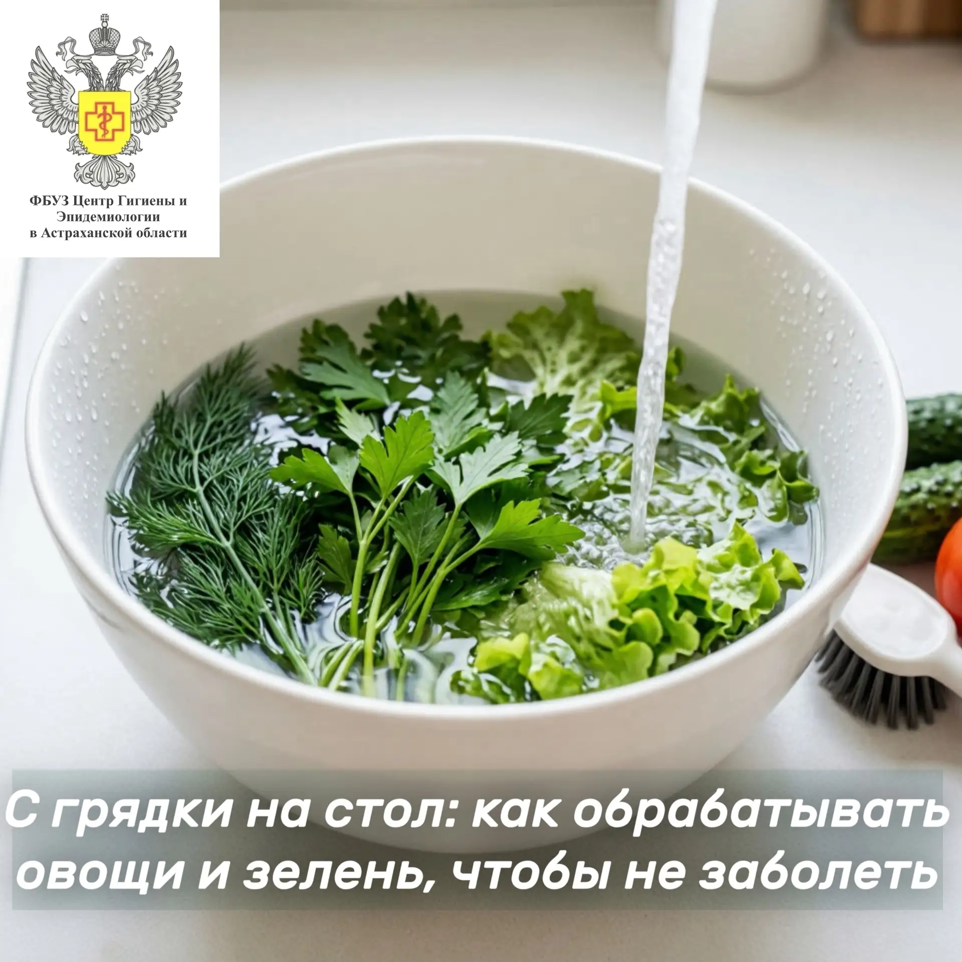 🥕🧼 Профилактика ОКИ. С грядки на стол: как обрабатывать овощи и зелень, чтобы не заболеть

Первое,