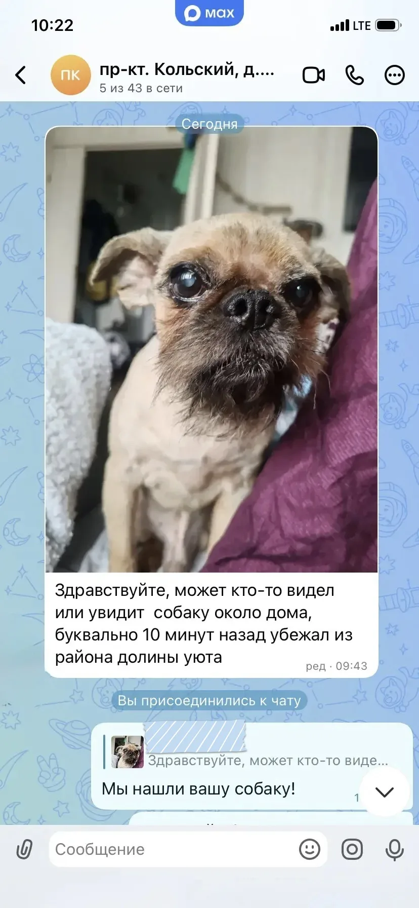 🐕 Благодаря домовым чатам в МАКС потерявшуюся собаку нашли в течение 30 минут

Сегодня на Кольском 