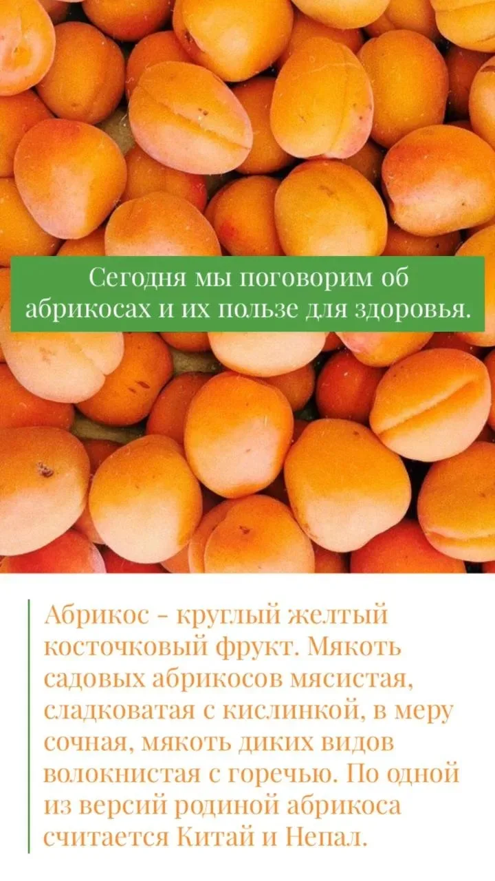 ЧЕМ ПОЛЕЗНЫ АБРИКОСЫ ПРИ ПОХУДЕНИИ И ДИАБЕТЕ❓