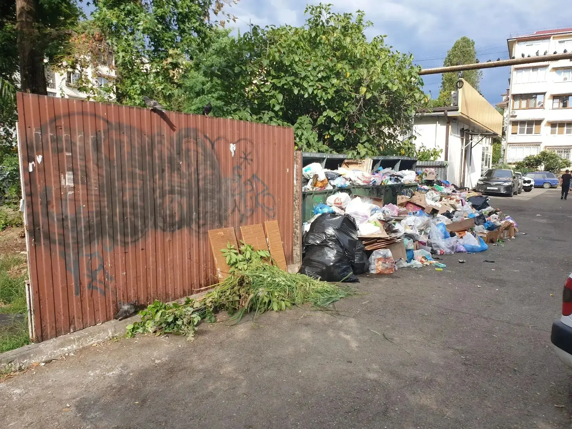 🗑 В Адлере жители жалуются на переполненные мусорные баки