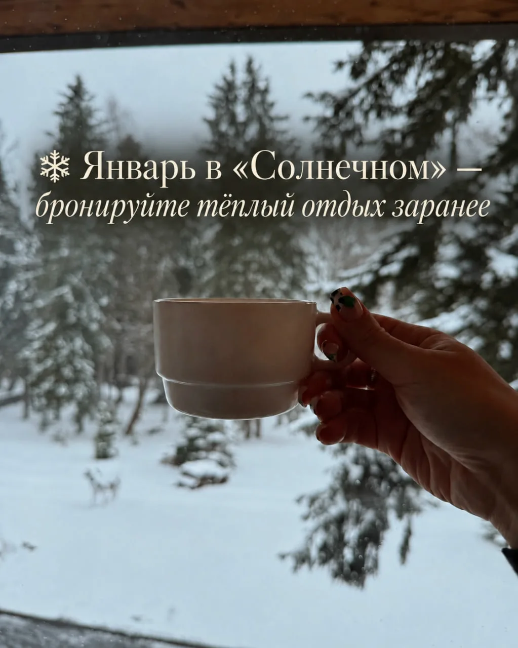 За окном снег, в руках горячий чай, впереди — тёплый бассейн, SPA и несколько дней без ...