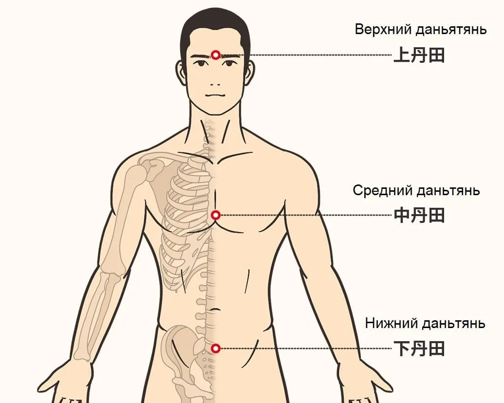 Изображение 2 к публикации «Секреты женского здоровья»