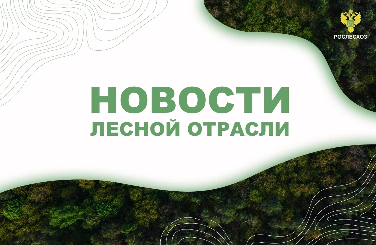 🟢 ЛесПромИнформ: В Красноярский край и Томскую область направлено ещё 185 специалистов...