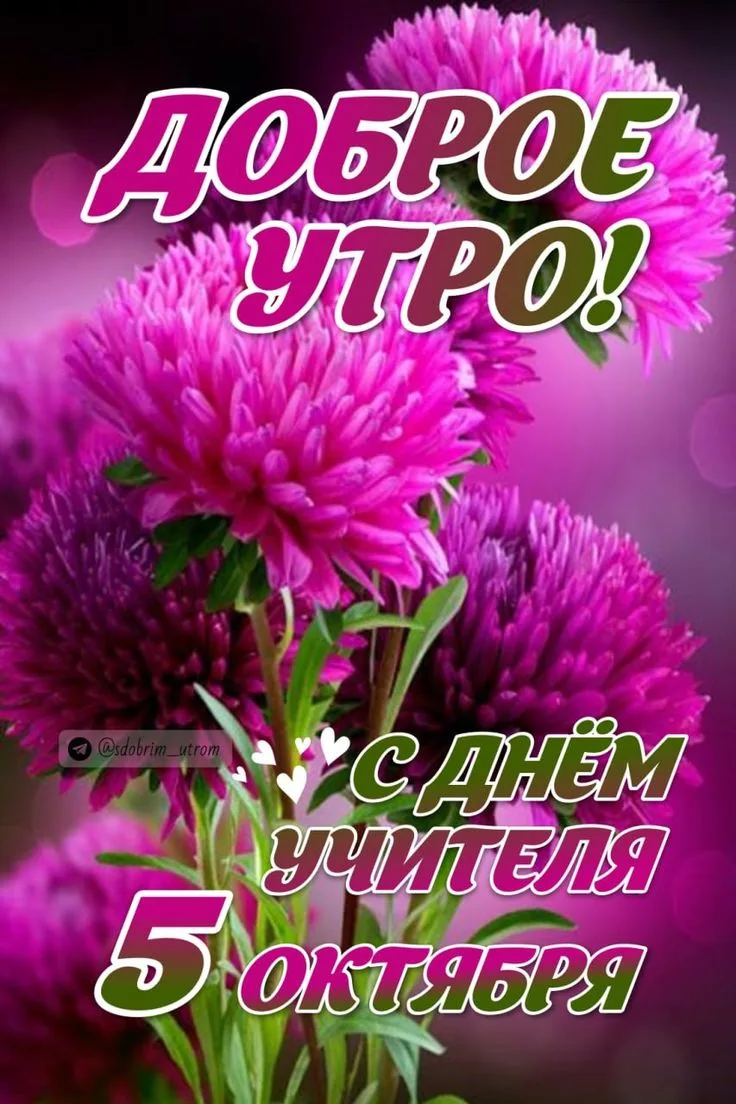 С праздничным добрым утром! ☀️💐
