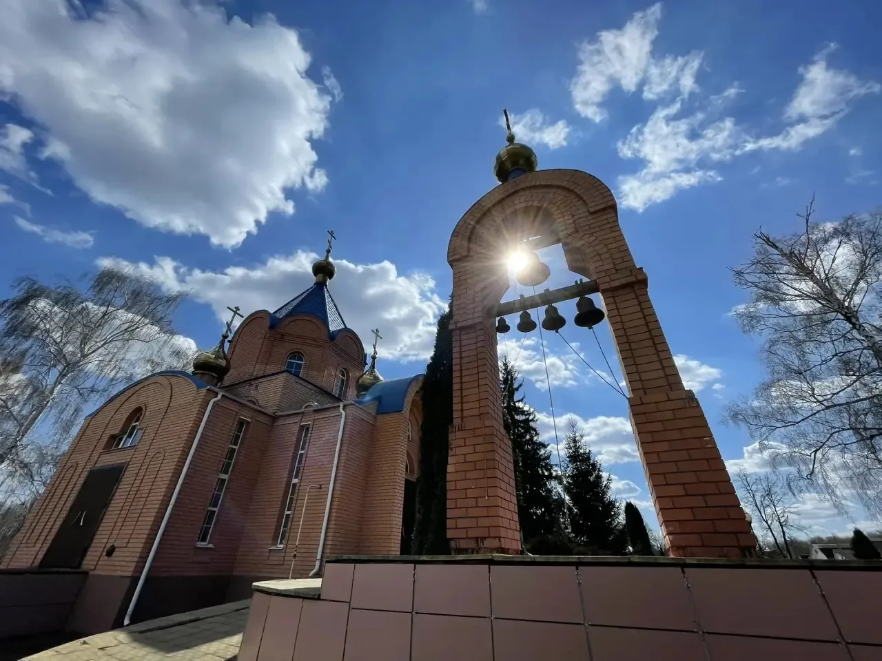 ❤️‍🩹Репяховка 2023-2025, сборник 2