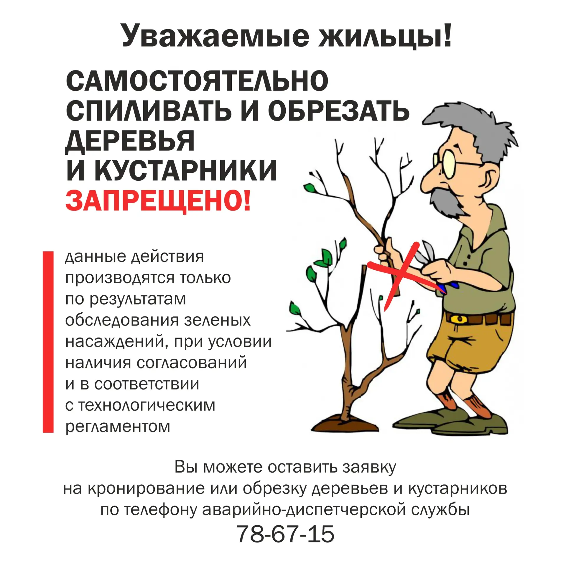 Важно о деревьях 🌳
