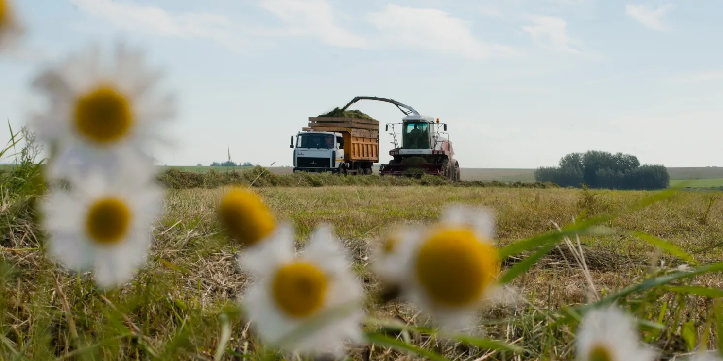 🚜 Аграрии региона начали заготавливать корма

Всего планируют заготовить >440 тыс. тонн. 

К уборке