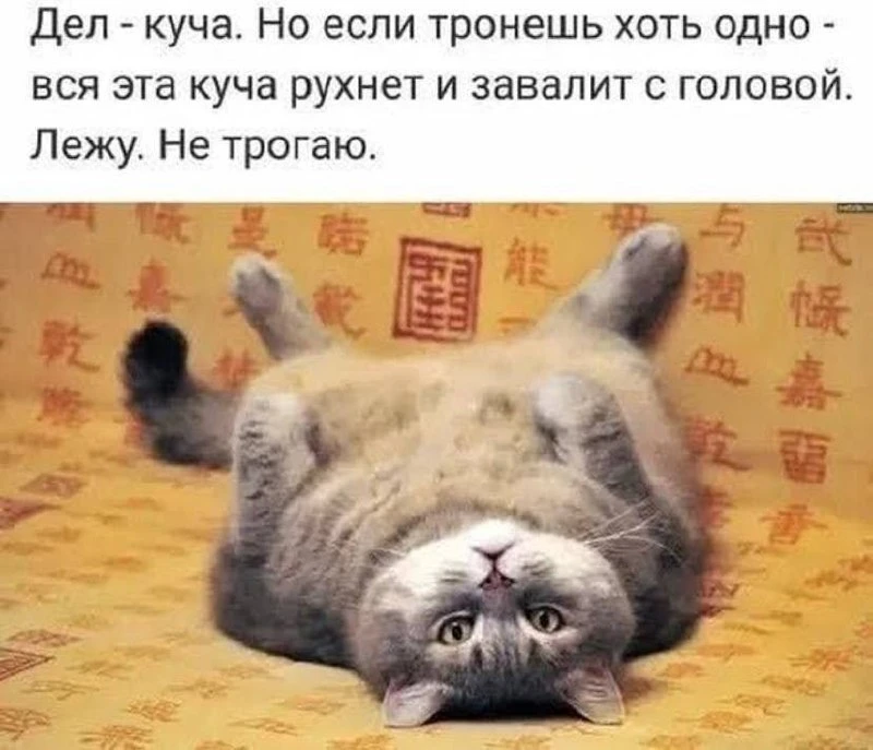 КУКУРУЗА 🌽