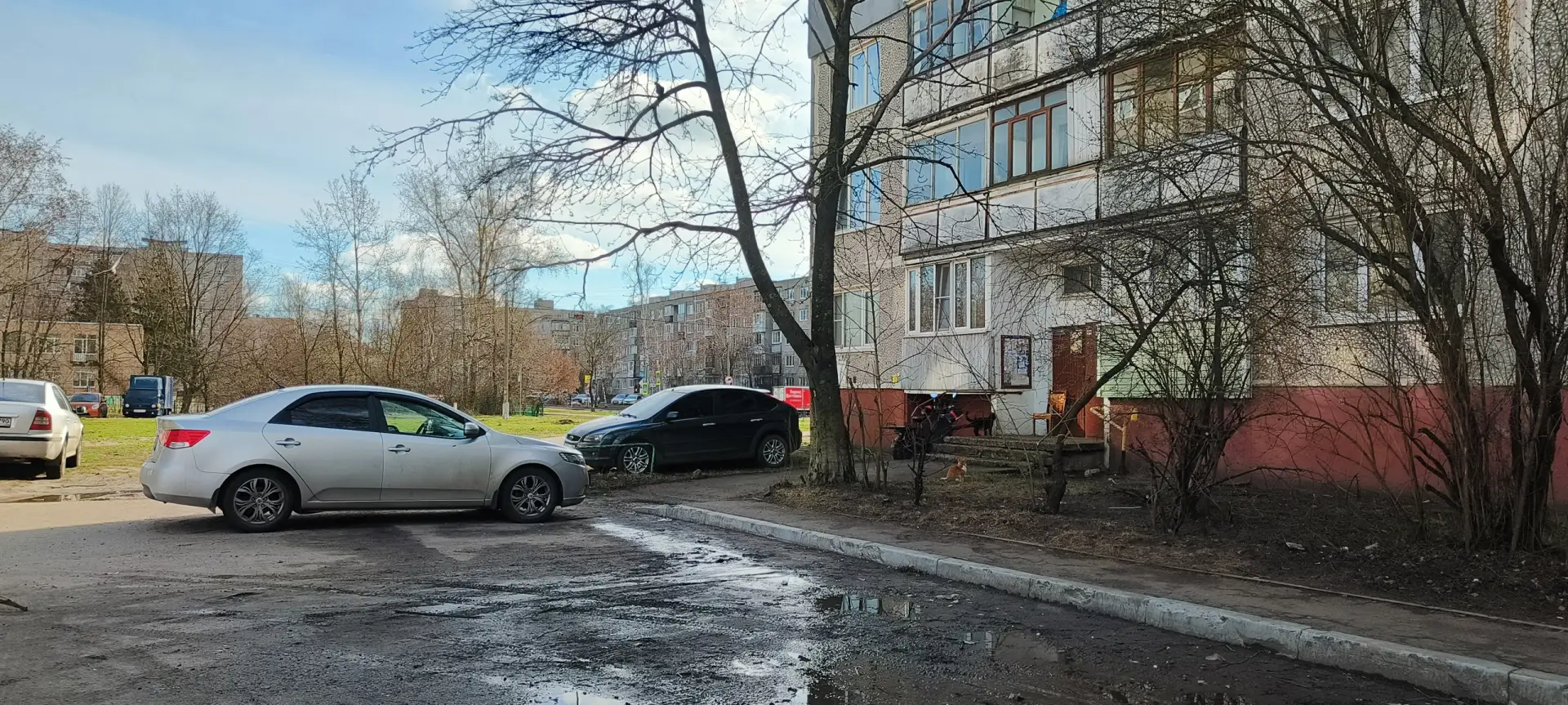 Продолжаем искать пятничных котиков. Их два! 😻😻 Найдёте всех?
 
Правила простые: 
1. Находим 😸 
2