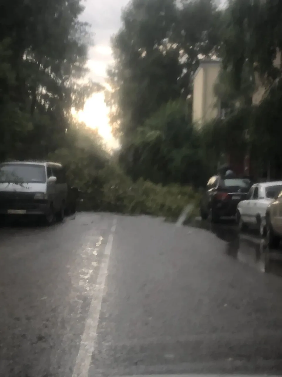 Энтузиастов у Спартака перекрыта упавшим деревом