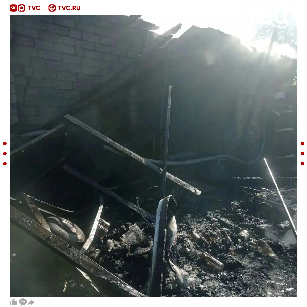 Три собаки и четыре кошки сгорели при пожаре в Нижегородской области