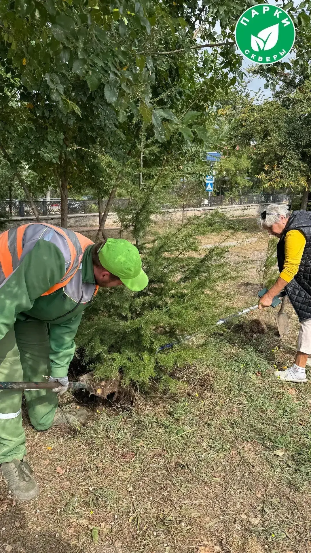 🌿В сквере 3‑го бастиона проведены работы по благоустройству