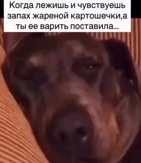 ГОРМОНЫ и ЗАПАХИ